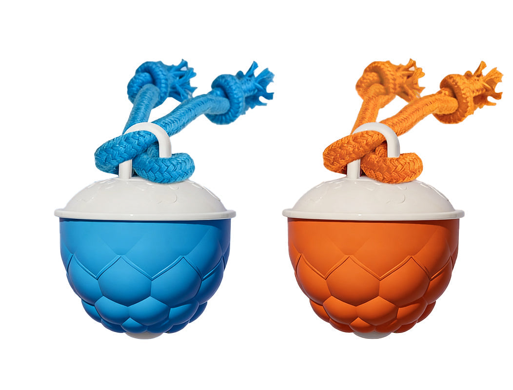 Interactive Dog Toys with Motion Activated