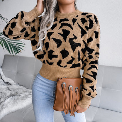 Leisure leopard print waist cinched knit crop top sweater