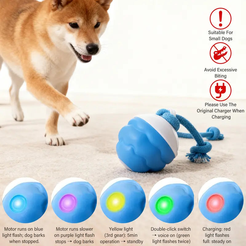 Interactive Dog Toys with Motion Activated