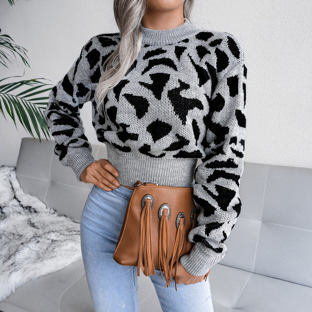Leisure leopard print waist cinched knit crop top sweater