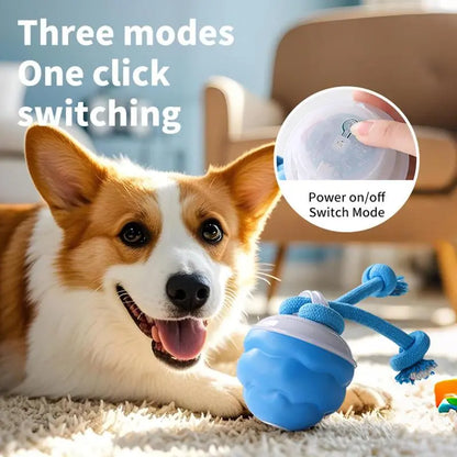 Interactive Dog Toys with Motion Activated
