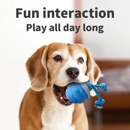 Interactive Dog Toys with Motion Activated