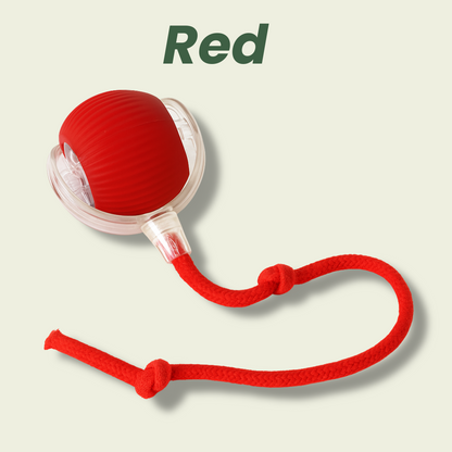 NESLEMY™Self-moving.Rechargeable. Endless play. Your cat's new obsession