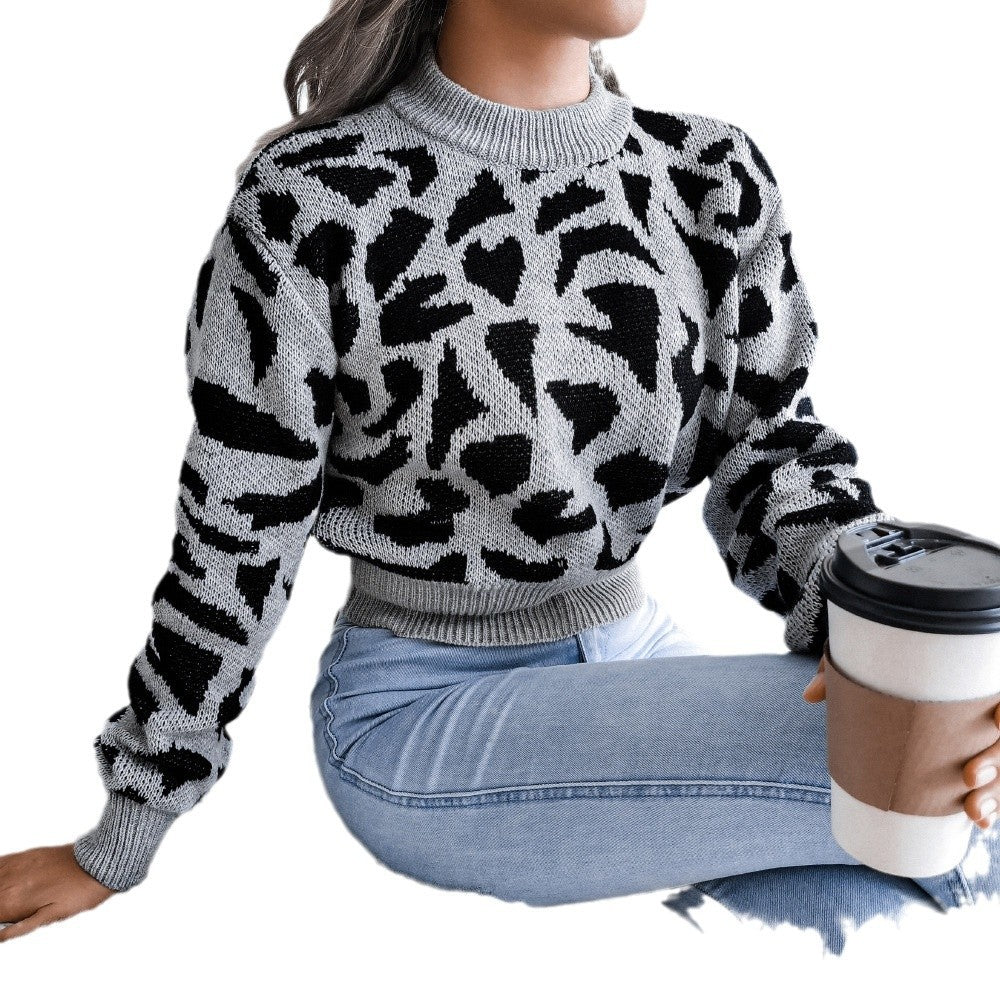 Leisure leopard print waist cinched knit crop top sweater