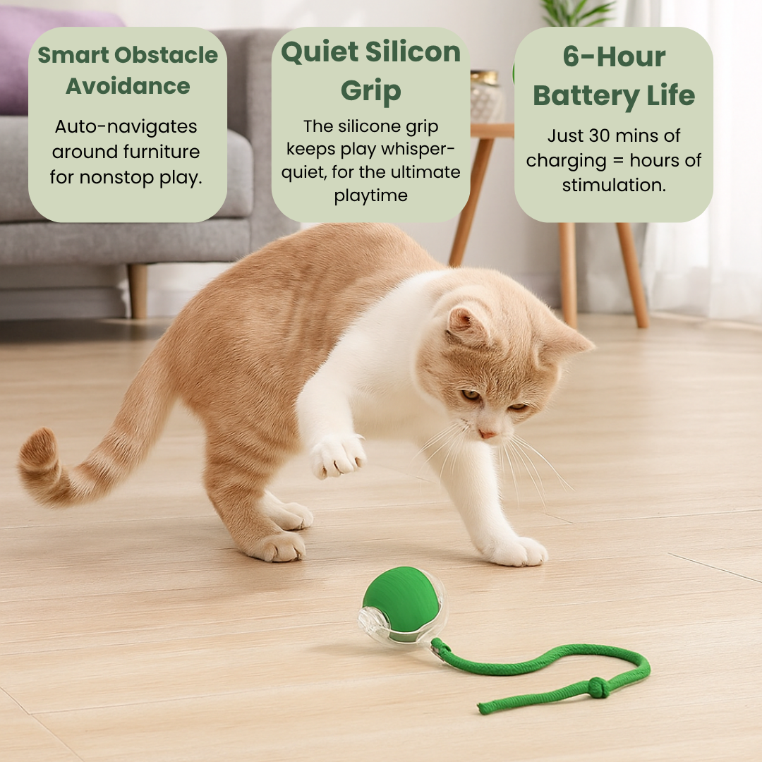 NESLEMY™Self-moving.Rechargeable. Endless play. Your cat's new obsession