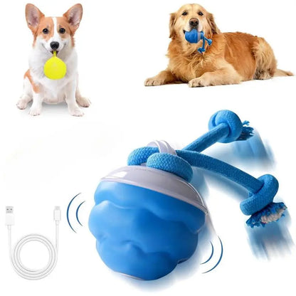 Interactive Dog Toys with Motion Activated