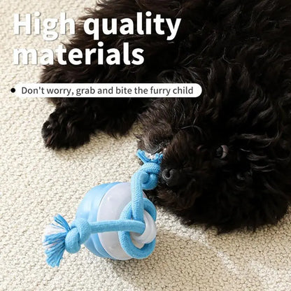 Interactive Dog Toys with Motion Activated